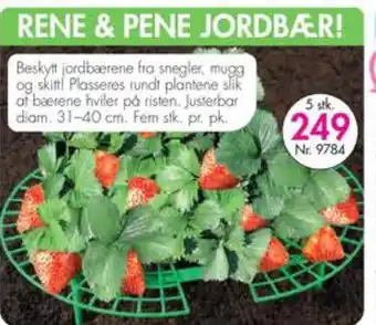 Nyttig RENE & PENE JORDBÆR tilbud