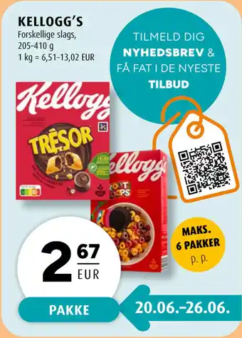 Scandinavian Park KELLOGG’S tilbud