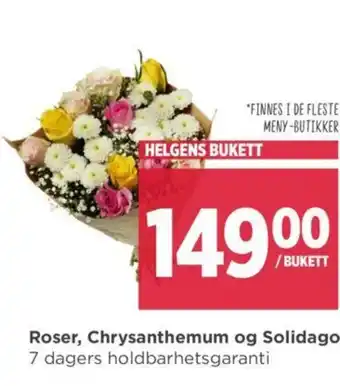 Meny Roser, Chrysanthemum og Solidago tilbud