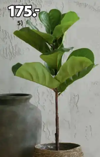 JYSK KELD KUNSTIG PLANTE tilbud