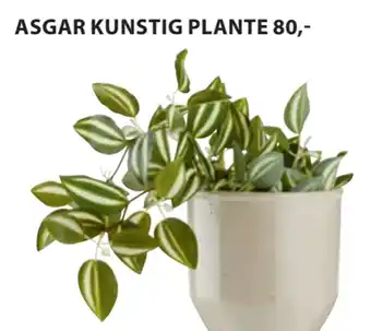 JYSK ASGAR KUNSTIG PLANTE tilbud