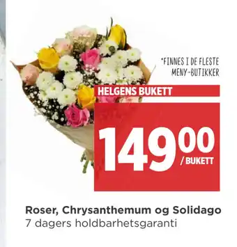 Meny Roser, Chrysanthemum og Solidago tilbud