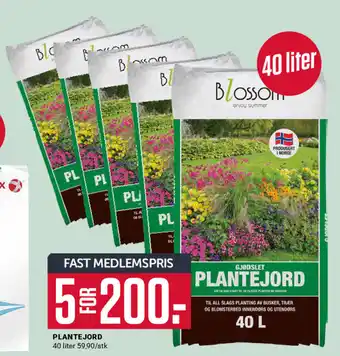 Europris PLANTEJORD tilbud