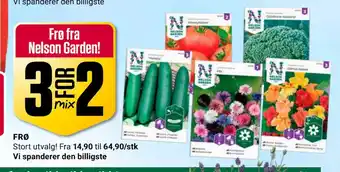 Europris Frø fra Nelson Garden! tilbud