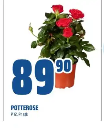 Coop Obs Ukjent plante tilbud