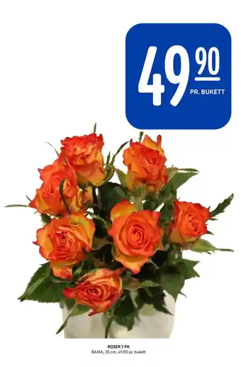 Rema 1000 ROSER 7 PK tilbud