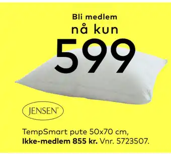 Skeidar TempSmart pute 50x70 cm tilbud