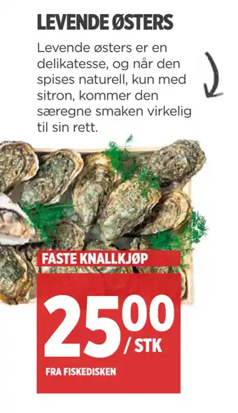 Meny LEVENDE ØSTERS tilbud