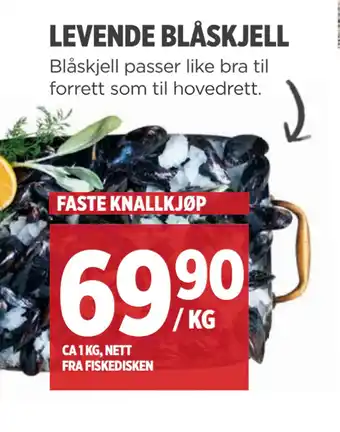 Meny LEVENDE BLÅSKJELL tilbud