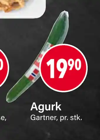 Agurk