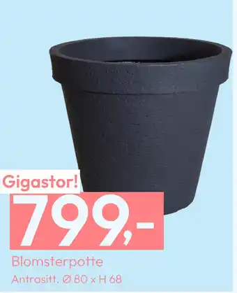 Gigaboks Blomsterpotte tilbud