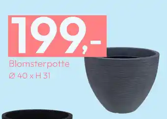 Gigaboks Blomsterpotte tilbud