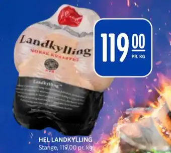Rema 1000 Stange kylling tilbud