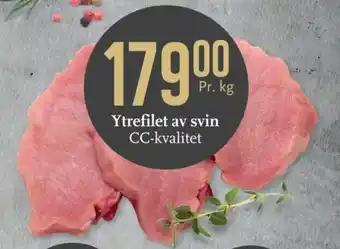 CC Mat Ytrefilet av svin CC-kvalitet tilbud