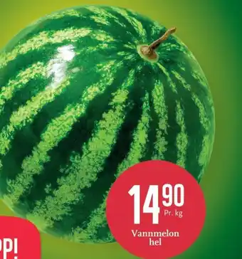 CC Mat Vannmelon hel tilbud