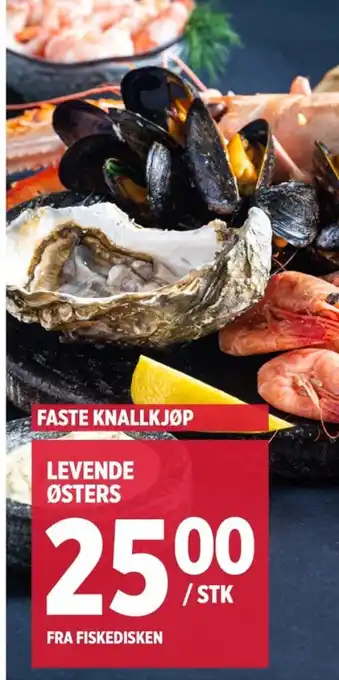 Meny Ukjent østers tilbud