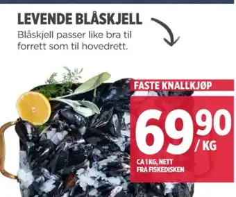 Meny Ukjent blåskjell tilbud