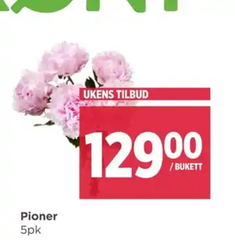 Meny Ukjent bukett tilbud