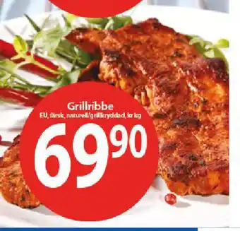 MaxiMat Töcksfors Grillribbe tilbud