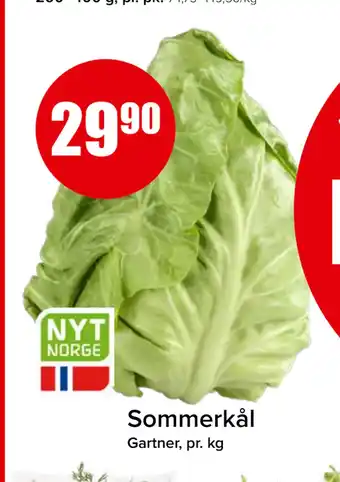 Spar Sommerkål tilbud