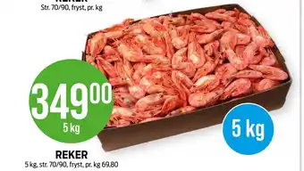 Kiwi REKER tilbud