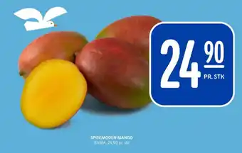 Rema 1000 Bama mango tilbud