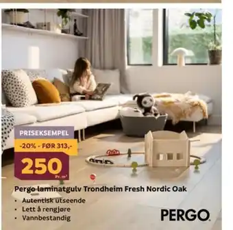 Megaflis Pergo laminatgulv Trondheim Fresh Nordic Oak tilbud