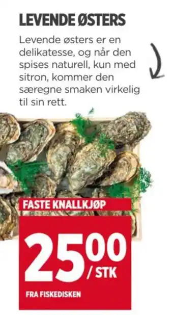 Meny LEVENDE ØSTERS tilbud