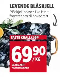 Meny LEVENDE BLÅSKJELL tilbud