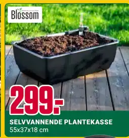 Europris SELVVANNENDE PLANTEKASSE tilbud