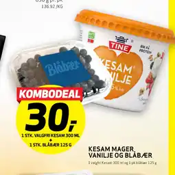 Bunnpris KESAM MAGER VANILJE OG BLÅBÆR tilbud
