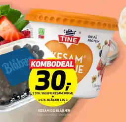 Bunnpris 1 STK. VALGFRI KESAM 300 ML + 1 STK. BLÅBÆR 125 G tilbud