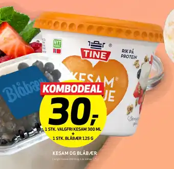 Bunnpris 1 STK. VALGFRI KESAM 300 ML + 1 STK. BLÅBÆR 125 G tilbud