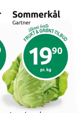 Joker Sommerkål tilbud