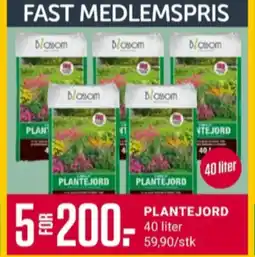 Europris Blossom plantejord tilbud