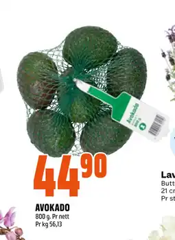 Coop Obs AVOKADO tilbud