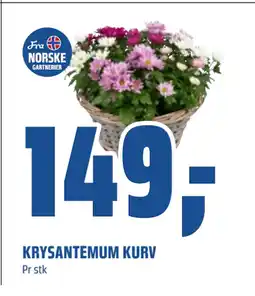 Coop Obs KRYSANTEMUM KURV tilbud