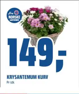 Ukjent plante