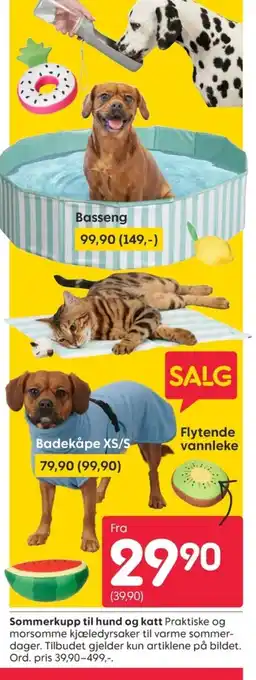 Rusta Sommerkupp til hund og katt tilbud