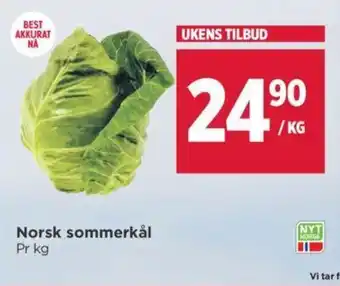Meny Norsk sommerkål tilbud