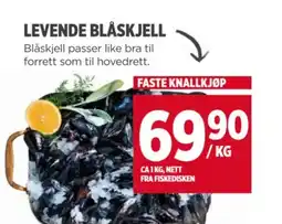 Meny LEVENDE BLÅSKJELL tilbud