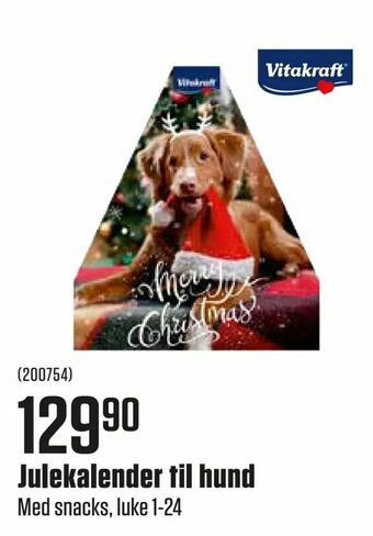 Julekalender til hund
