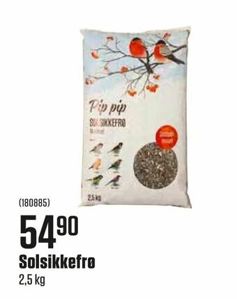 Europris Solsikkefrø tilbud