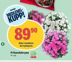 Coop Prix Frilandskryss tilbud