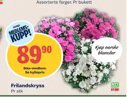 Coop Mega Frilandskryss tilbud