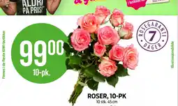 Kiwi ROSER, 10-PK tilbud