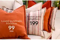 Skeidar Koster pute 40x60cm tilbud