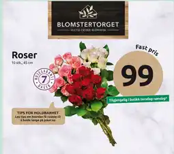 Joker Roser tilbud