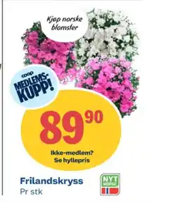 Coop Obs Ukjent plante tilbud