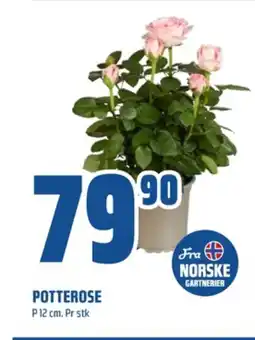 Coop Obs Ukjent plante tilbud